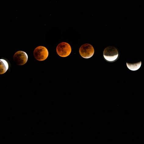 1月31号什么天气