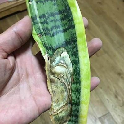 南宁下暴雨哪里容易被水涝？