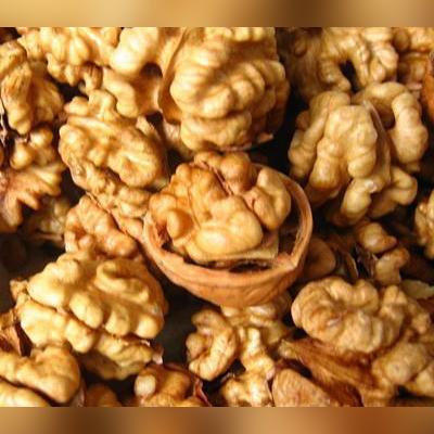 石家庄市的特产是什么