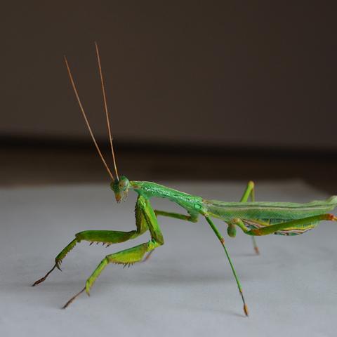 河南模具工招聘的相关长尾关键词有哪些