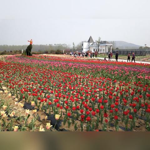哈尔滨地接旅行社的相关长尾关键词有哪些