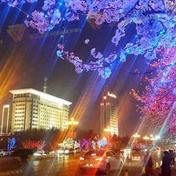 潍坊市的樱花在哪里