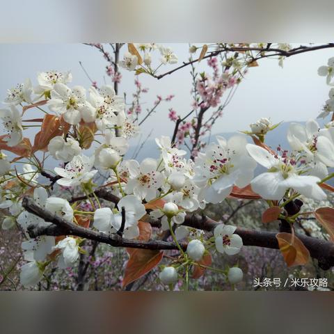 临沂市哪个工厂招人最多