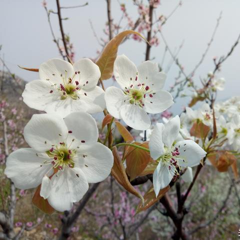 临沂市哪个市场还招人