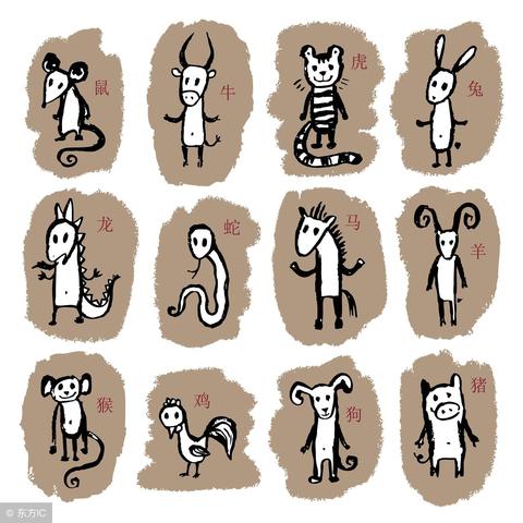 狗年生肖运势排行(生肖狗年运势大全)