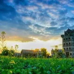 佛山市和江门市哪里好