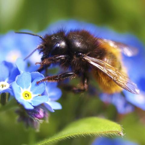生肖兔的财运和运势(生肖兔一生的财运运势)