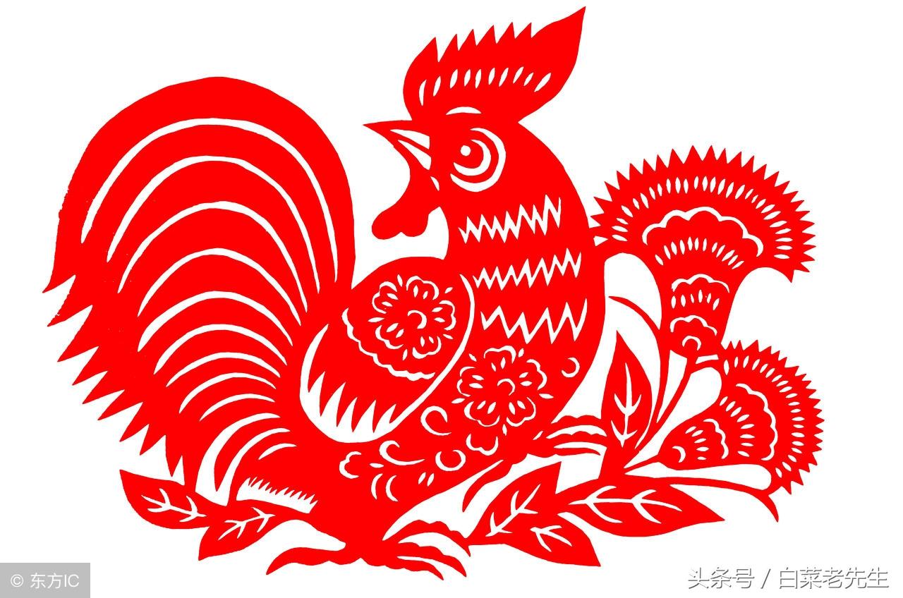 孕妇梦见公鸡啄自己