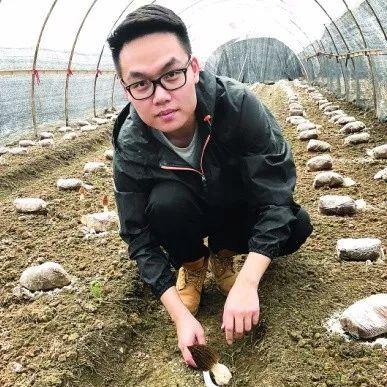 桂林市哪里可以捡菌子