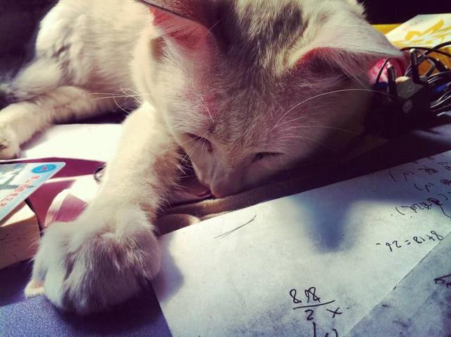 上学时最难背诵的课文