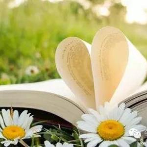 四柱五行查询(出生日期查询生辰八字五行查询)