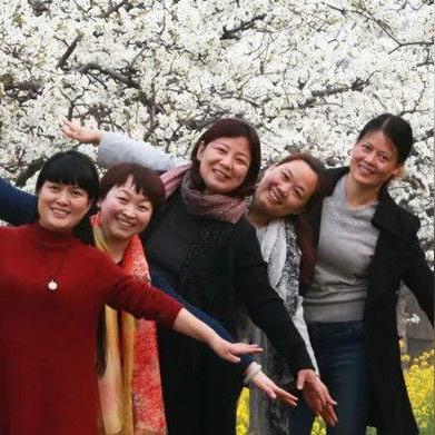 石家庄市油菜花园在哪里