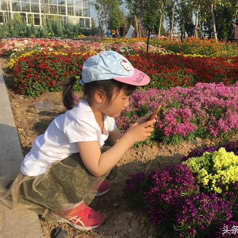 厦门市花卉市场在哪里