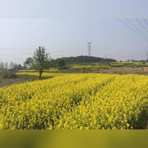 无锡市梨花家园位置在哪里