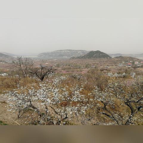 济南市最大的水库是哪个