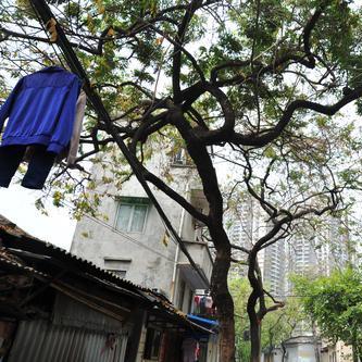 广州市到海南机票多少钱