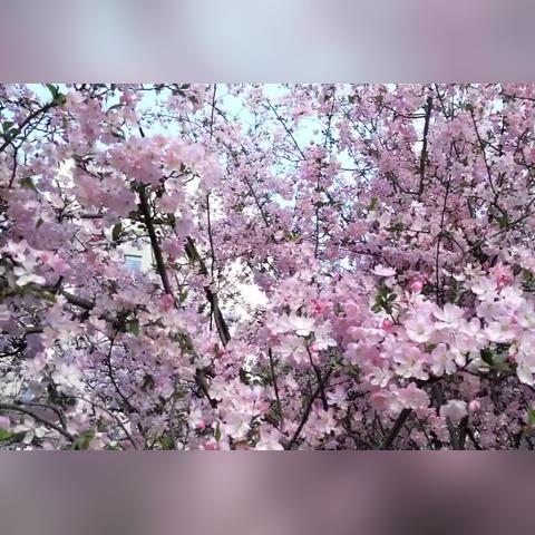 合肥春天广告相关长尾关键词有哪些