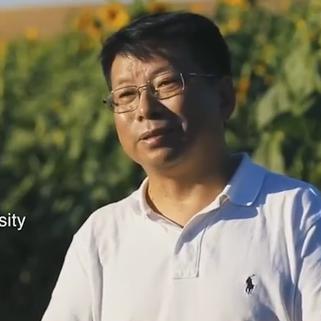 重庆大学沙漠胶水的长尾关键词有哪些