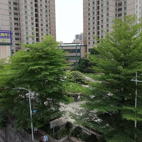东莞塘厦镇属于哪个区的？