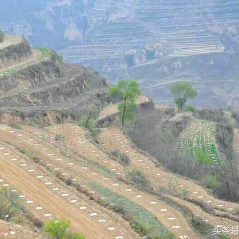 桂林名贵中药材相关长尾关键词有哪些