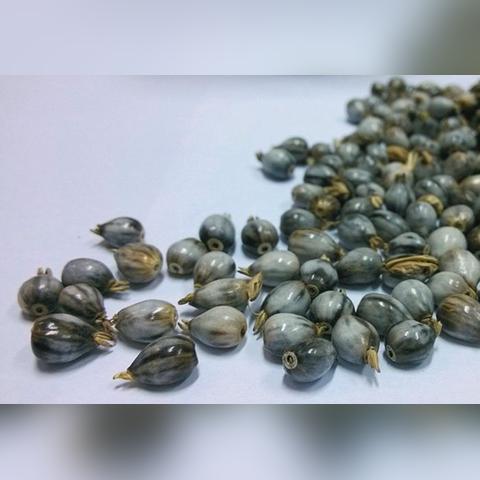 河南装修穿线管哪个好