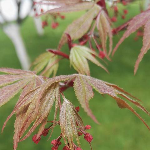 重庆汽车脚垫怎么样的