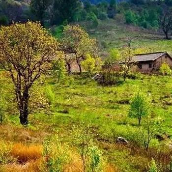 西安市周围的山叫什么