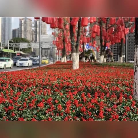 重庆哪个地段最值得投资