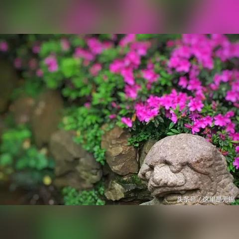 无锡市门窗五金店在哪里