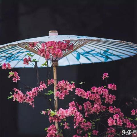 无锡市哪里有樱桃采摘园