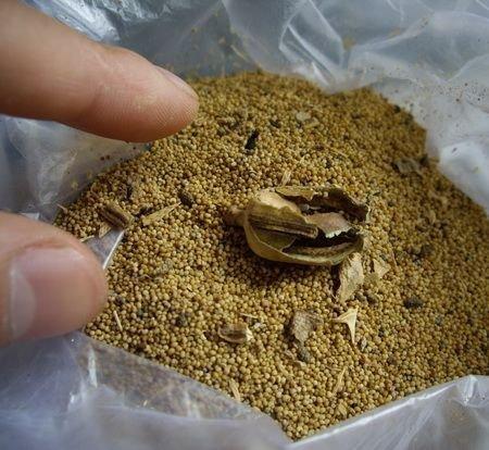 江苏无锡新增39名阳性人员
 /江苏无锡新增39名阳性人员名单