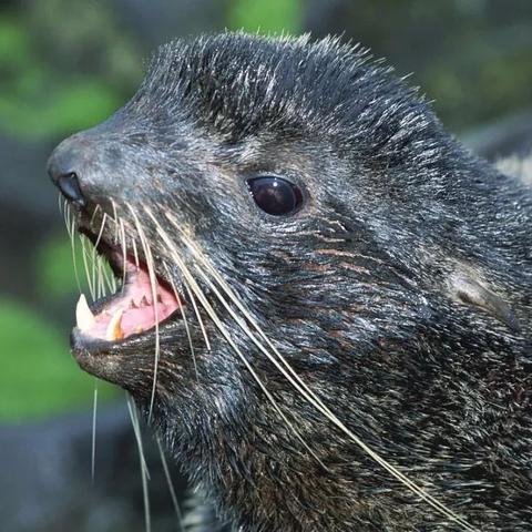 测测你的八字能量是旺还是弱