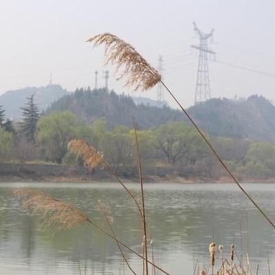 河南有什么玩的