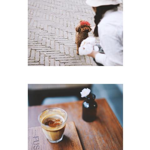 成都市试管之家在哪里预约