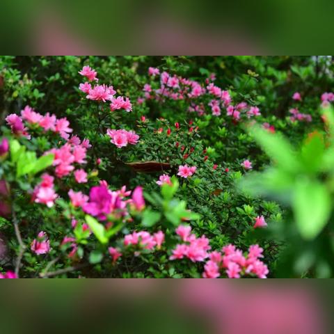 江干区笕桥镇黎明村怎么走？