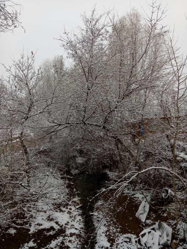 4月4日清明节
/4月4日清明节是哪一年-图1 4月4日清明节
/4月4日清明节是哪一年-图1