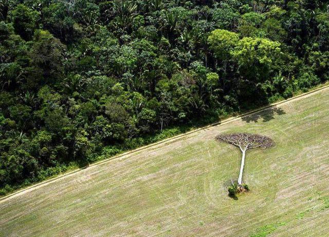 【人类偏肺病毒正在美国肆虐
 ,人类偏肺病毒症状体征】
