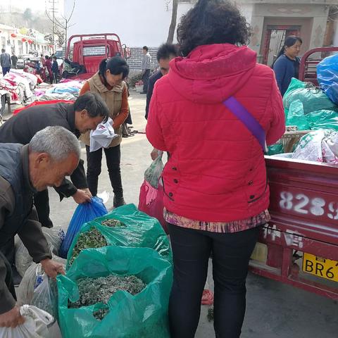 济南市什么季节22度