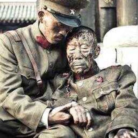 沈阳狗埋哪里相关长尾关键词有哪些