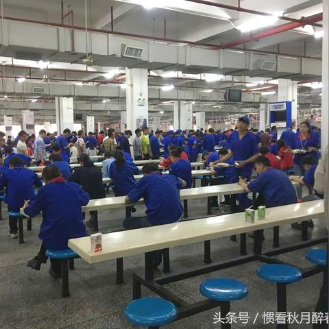 深圳开比亚迪的多不多？