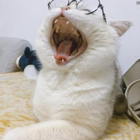 广东福建是哪个海