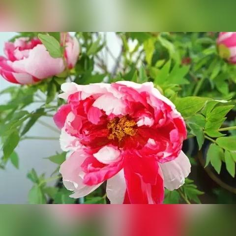 无锡市网红地图在哪里