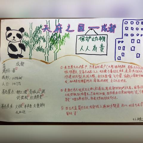 成都市区内的熊猫有哪些