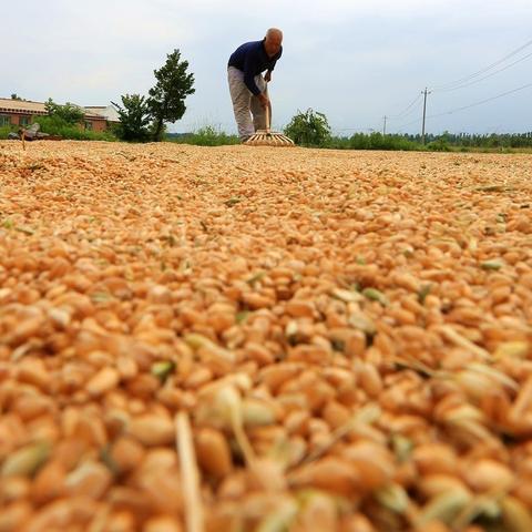 石家庄市房子拍卖的长尾关键词有哪些