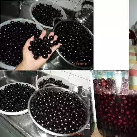 东莞市水果有哪些