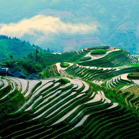 桂林市有什么景区吗最近