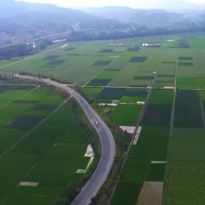 福建长汀哪个村最好
