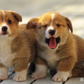 杂气七杀格？杀印相生(七杀格和杂气七杀格的区别)