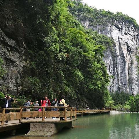 重庆哪个景区有小熊猫呀