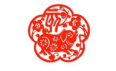 属猪宝宝起名用什么字好（能否感慨一下你的肺腑之言）